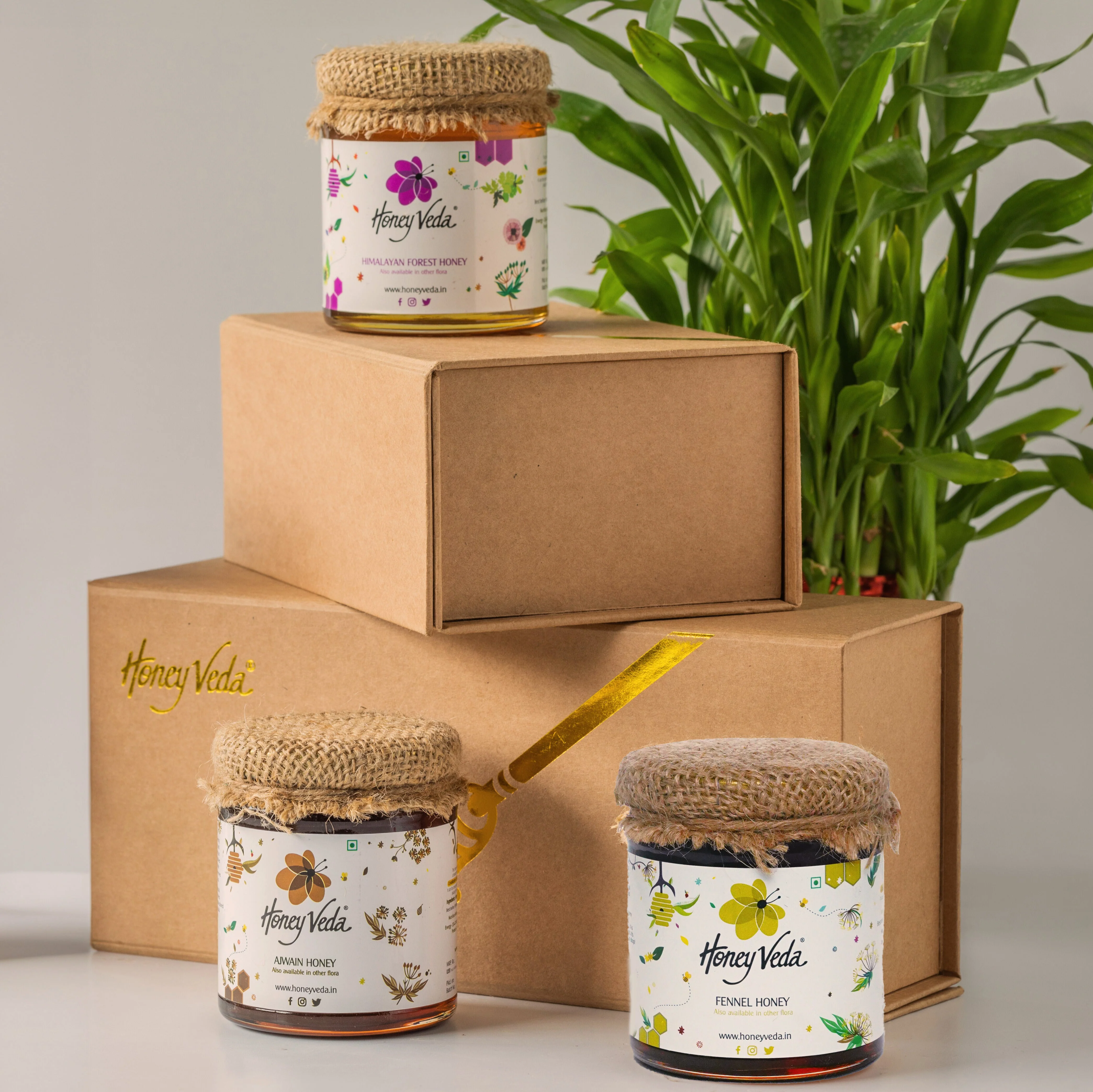 Gift Box
